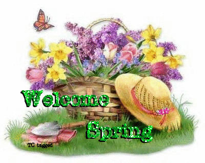 Welcome Spring! – Vanessence