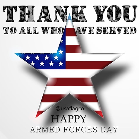 Armed Forces Day (5)